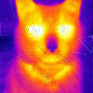 Meet your Posher, Marc